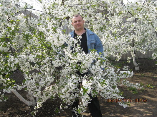  ,   Kotz, 50 ,   