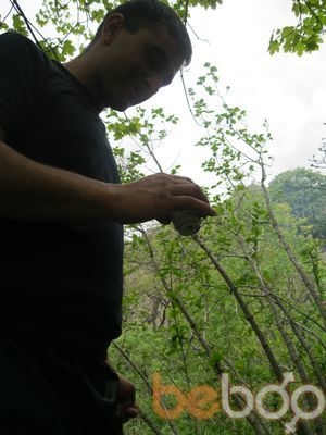  ,   Art, 36 ,   