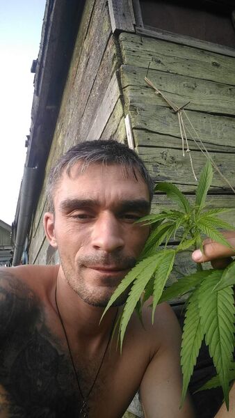  ,   , 39 ,   , c , 