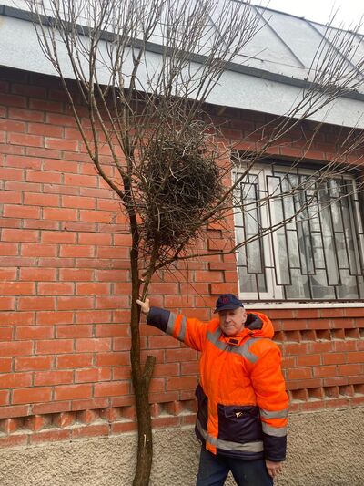  ,   , 63 ,   ,   , c 