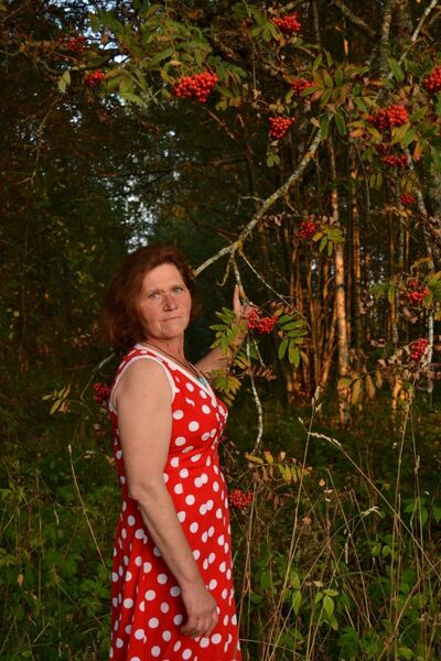  ,   , 55 ,   ,   
