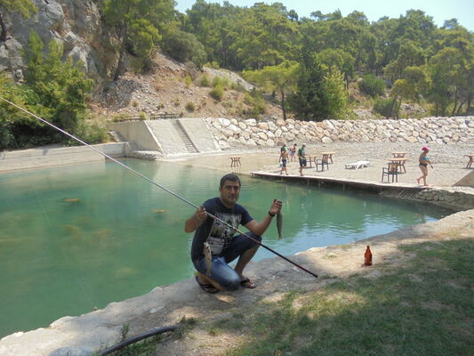  ,   Yahya, 46 ,   ,   , c 