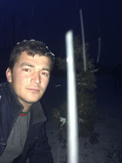  ,   Bayko, 33 ,   ,   , c 
