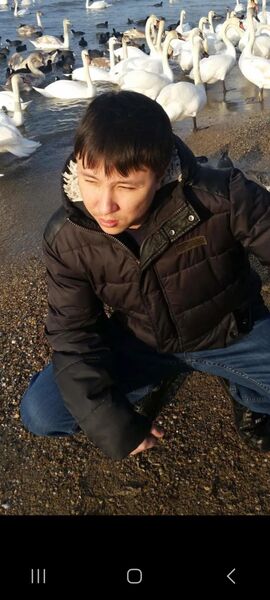  ,   Roman, 43 ,   ,   