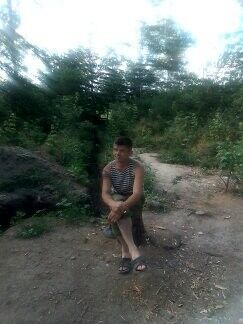  9800568  , 41 ,    