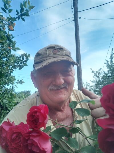  ,   , 65 ,   c 