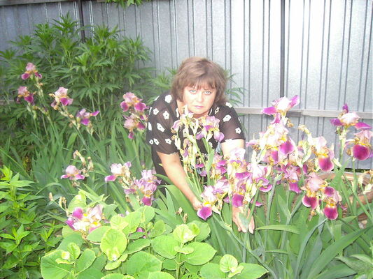  -,   , 60 ,     , c 