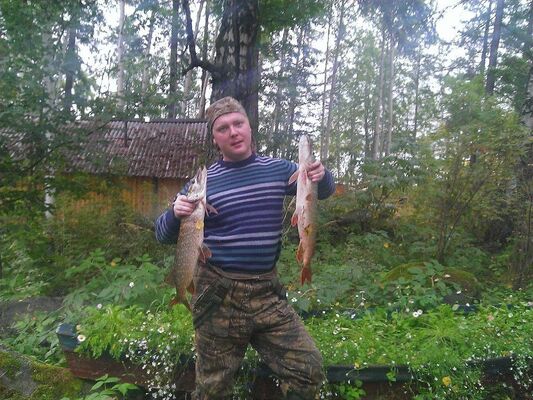  ,   Volend, 38 ,   ,   