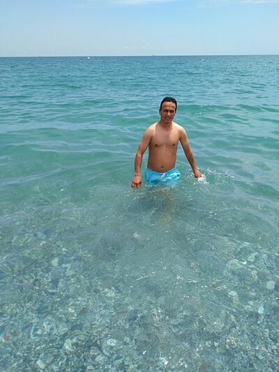  ,   Mustii, 43 ,   ,   