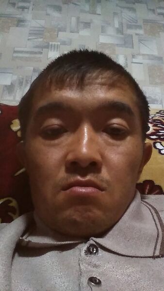  -,   , 38 ,   ,   , c 