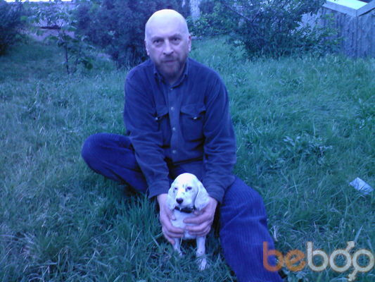 ���������� �������, ���� ������� Gocha, 60 ���, ������������ ��� ������