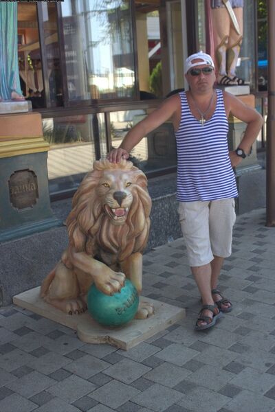  ,   , 51 ,   