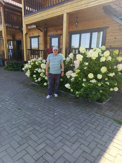  -,   Nikolay, 65 ,   ,   