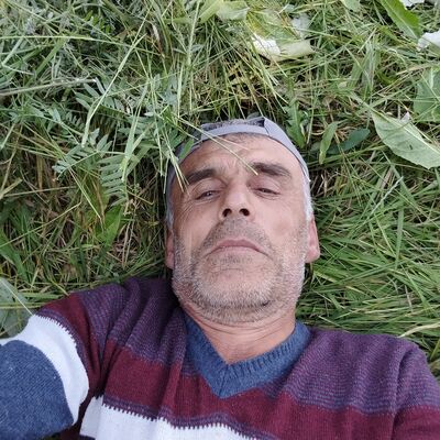  ,   , 56 ,   ,   