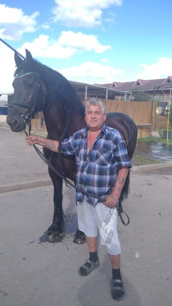  ,   , 61 ,   ,   , c , 