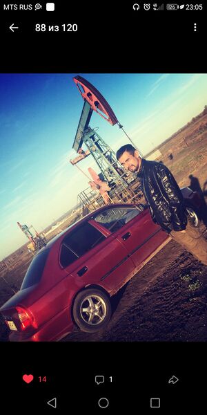  ,   Dinis, 31 ,   ,   