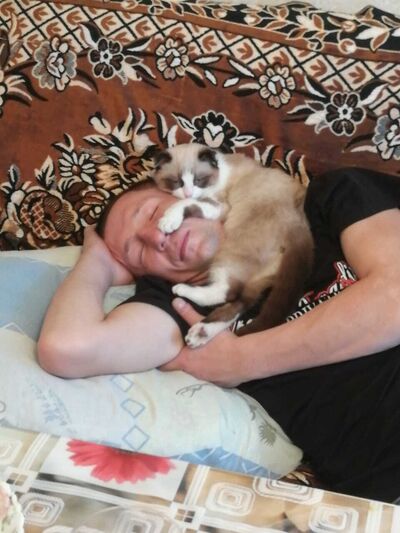  ,   , 41 ,   ,   