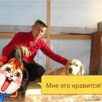   ,   , 51 ,   