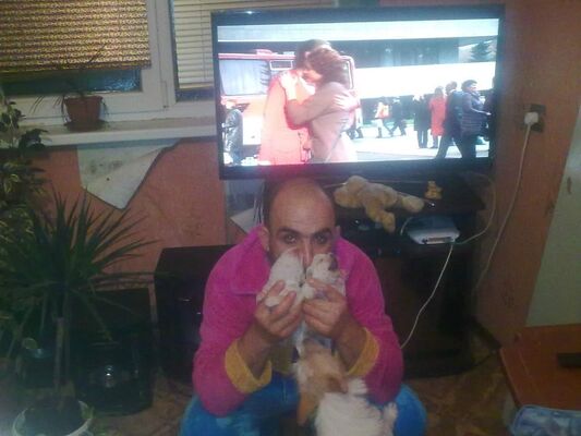  --,   Adam, 50 ,   ,   
