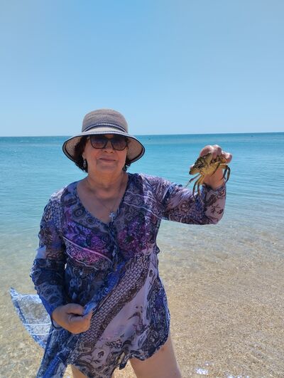  ,   , 61 ,   ,   