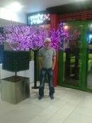  ,   , 37 ,     , c 