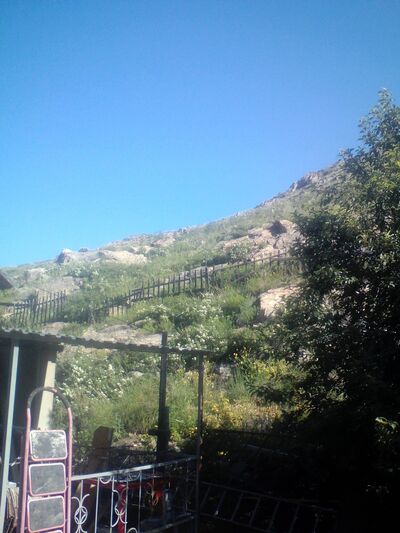  -,   Sergei, 50 ,     , c , 