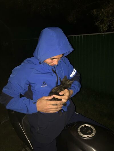  ,   , 22 ,  