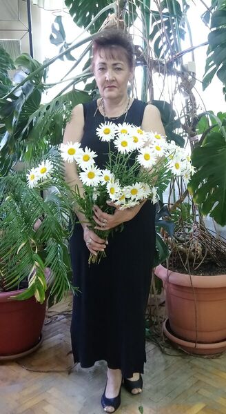  ,   , 62 ,   ,   , c 