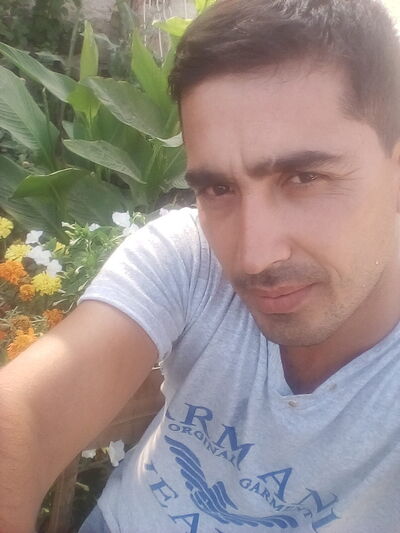  ,   Knyaz, 40 ,   ,   , c 