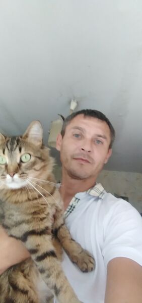  ,   , 41 ,   