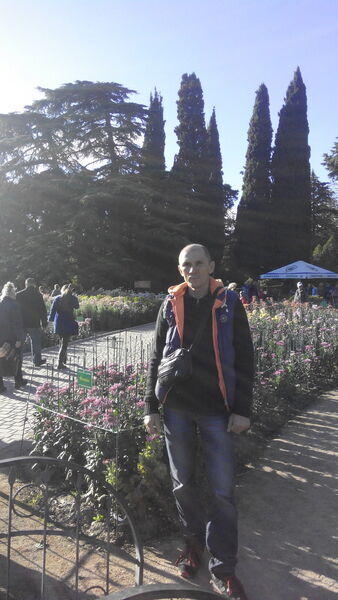  ,   , 61 ,  