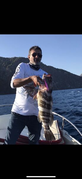  ,   , 46 ,   ,   
