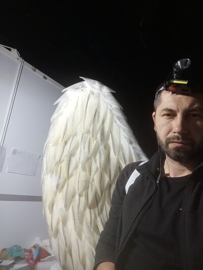  ,   , 40 ,   ,   