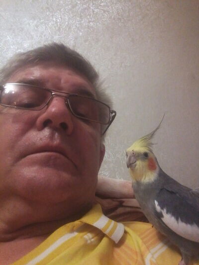  ,   , 52 ,   ,   , c 