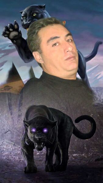  ,   , 48 ,   ,   