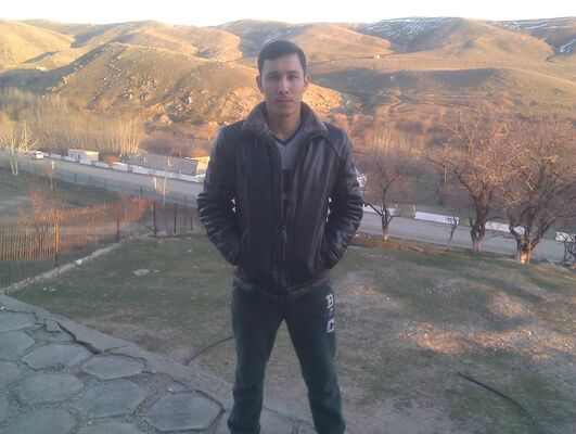  ,   Farux3352511, 41 ,   