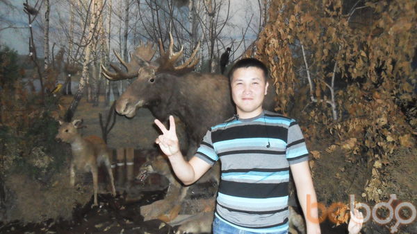  ,   Bauka, 38 ,     , c 