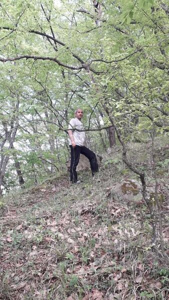  ,   ARAIK, 40 ,   ,   , c 