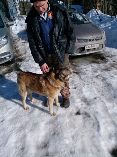  -,   Sergei, 50 ,     , c 