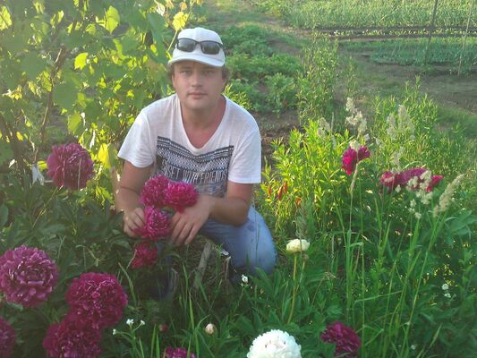  ,   , 33 ,   ,   , c , 