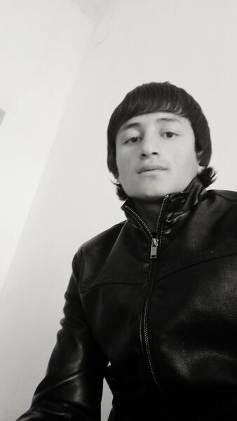  ,   Krasavchik, 23 ,   ,   