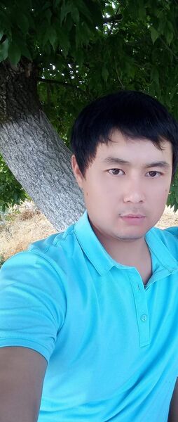  ,   , 33 ,   ,   , 