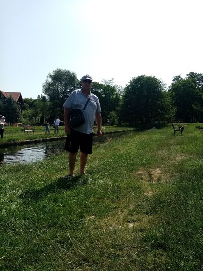  --,   , 52 ,   ,   