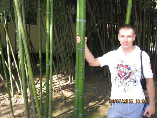  ,   Stason, 42 ,     , c 