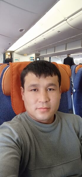  -,   , 36 ,   ,   
