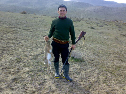  ,   Mansur, 40 ,     , c 
