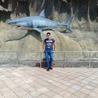  -,   , 31 ,   ,   , c 