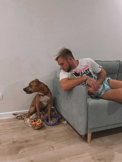  ,   , 33 ,     , c 