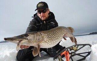  6517108  Boris, 54 ,    