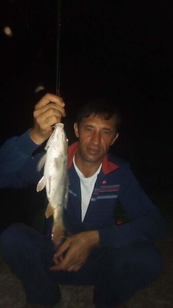  ,   , 44 ,   ,   , c , 